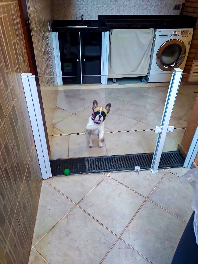 pets seguros