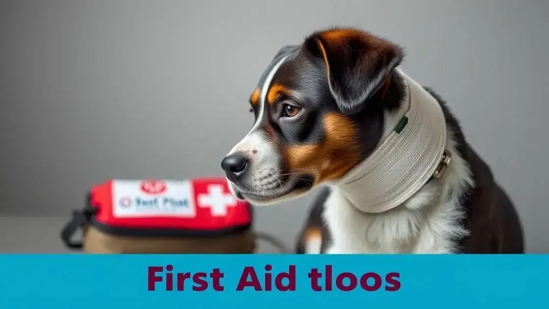 Primeiros socorros para cães: saiba como agir em emergências