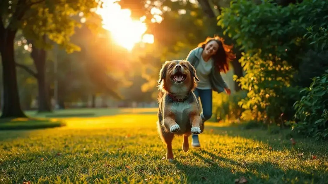 Fotos criativas com cachorro: como capturar momentos únicos