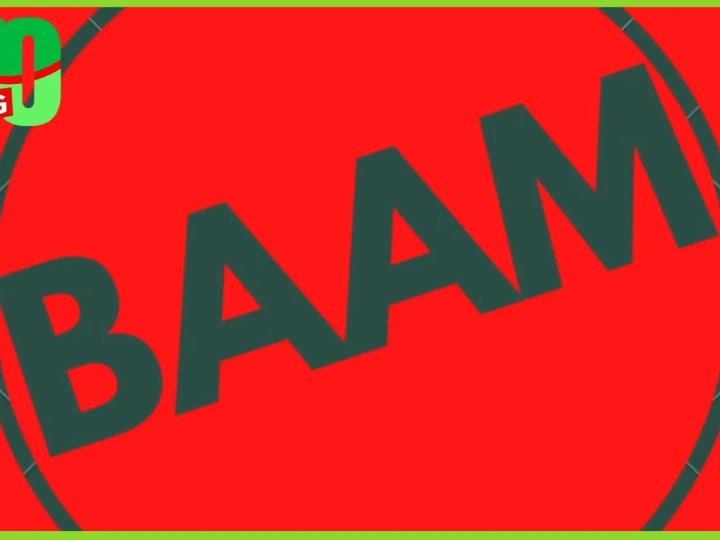 BAAM supports the presidential council…
