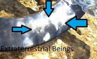 4. Three Unknown Entities