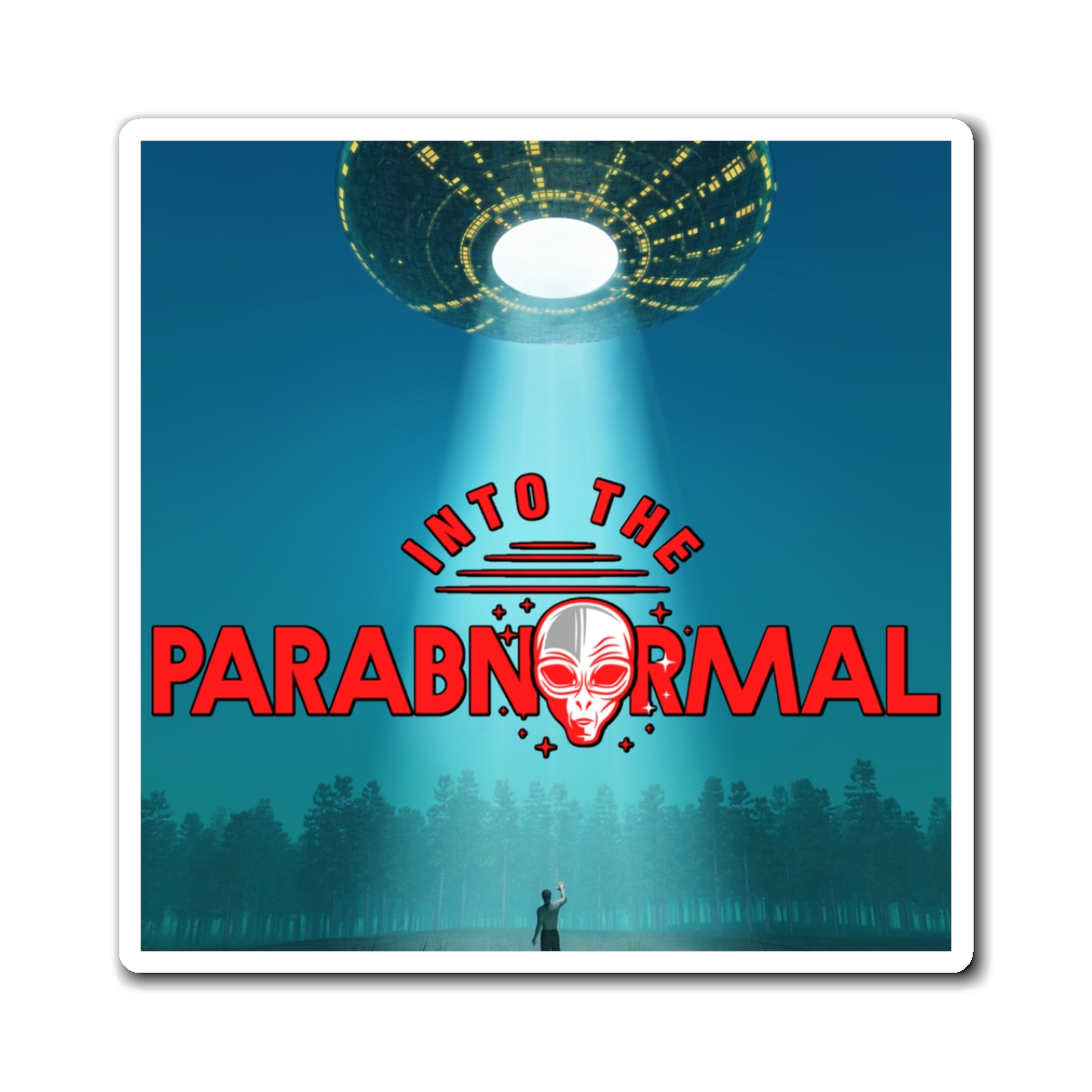 UFO Abduction Magnet