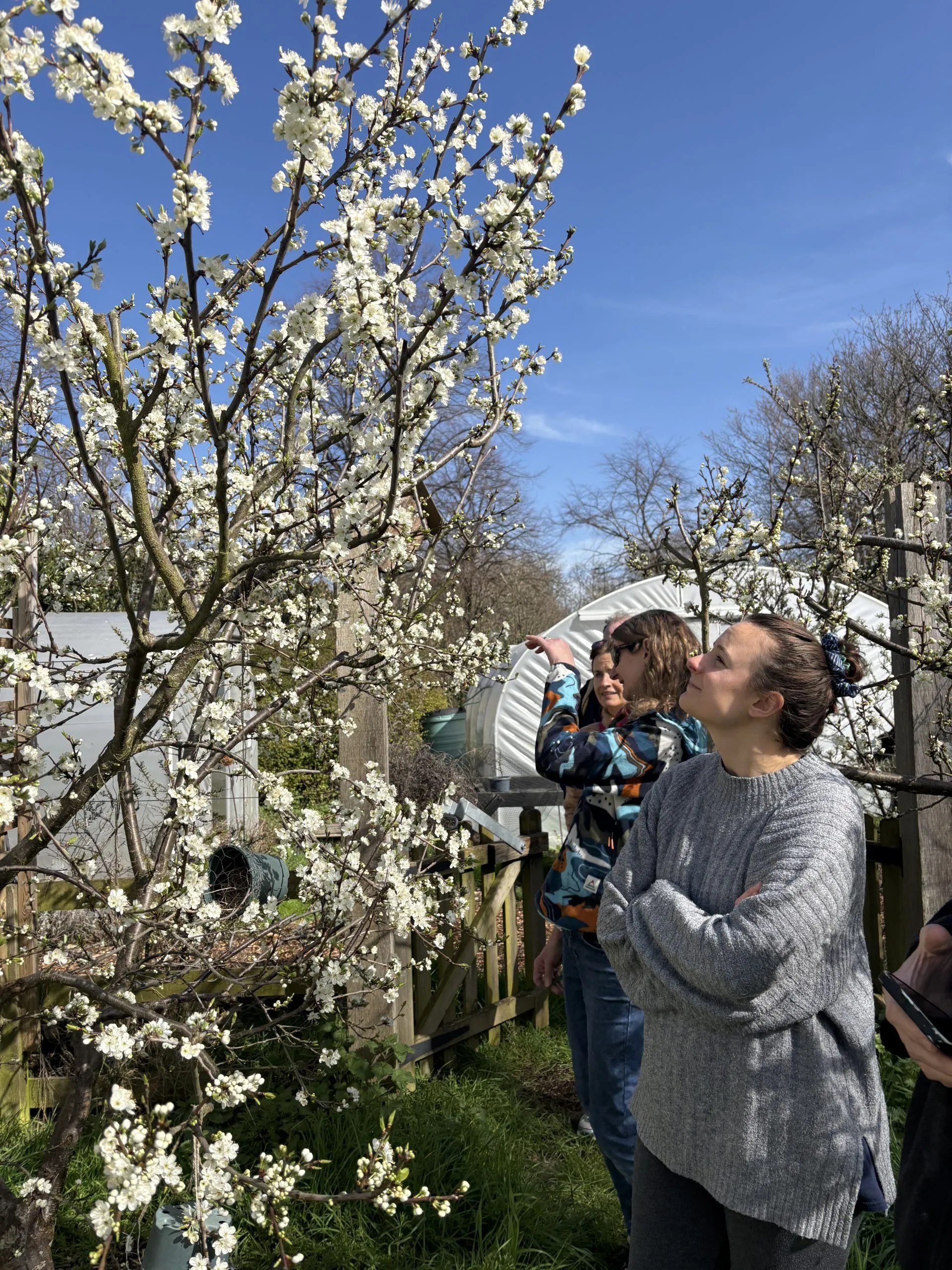 image of participants looking at blossom
