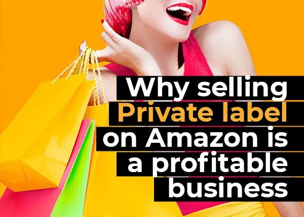 Colorful shopping bags in yellow, pink and green representing Amazon private label business opportunities