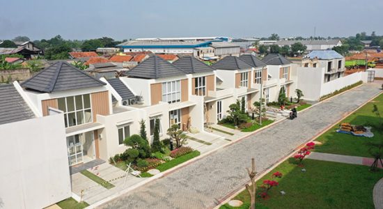 Paph (insigne x venustum) most should have glossy tan petals and pouch with a green dorsal sepal, edged in white, and traced with mahogany striping. Paramount Petals Curug Tangerang Paramount Land