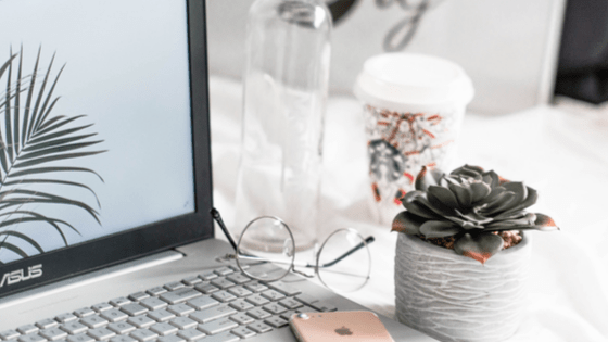 laptop, glasses, phone, plant and coffee. Learning how to increase domain authority for blogging