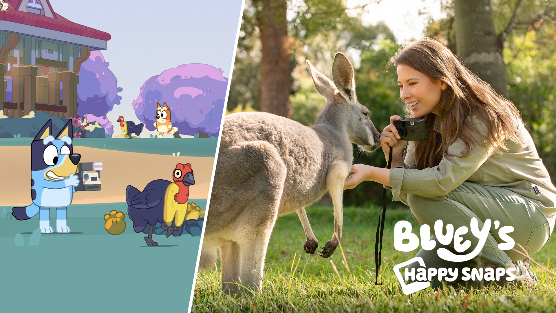 Bluey's Happy Snaps
