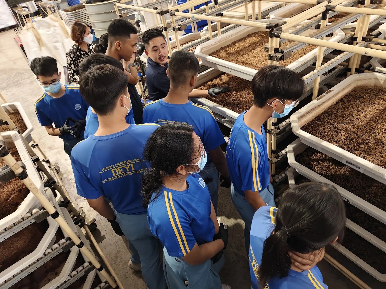ENTO Industries black soldier fly insect farm tour