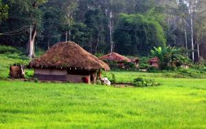 বস্টন থেকে উহান