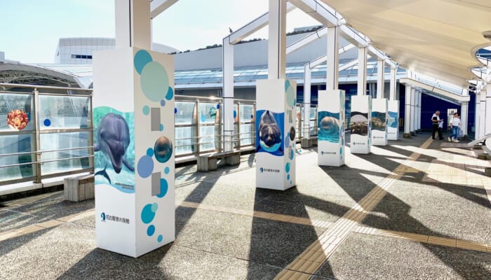【名古屋港水族館】厳選13駐車場！シャチ・イルカショー・ランチに安い最大料金はここ！