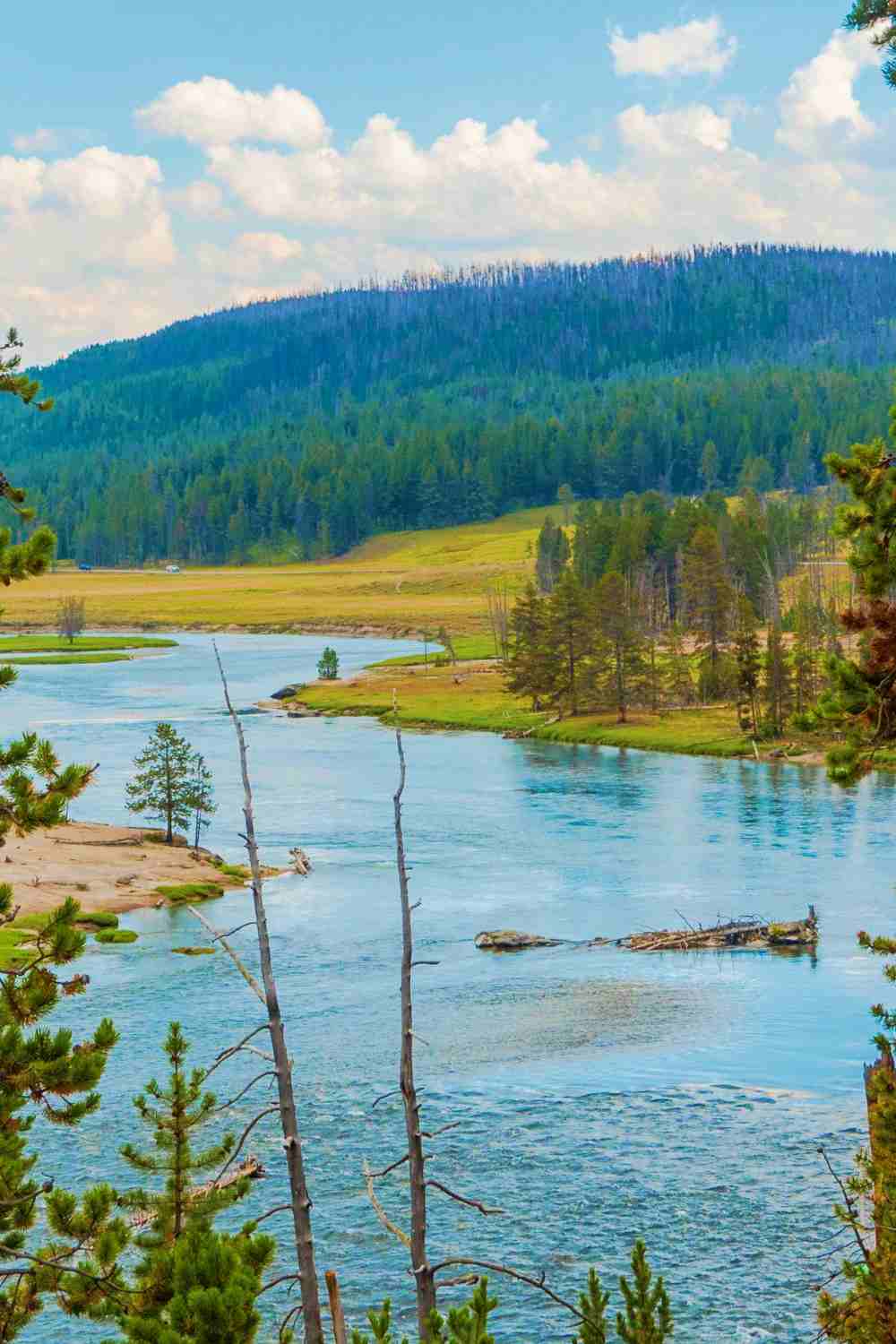 The Best Yellowstone Scenic Drives Hayden Valley 