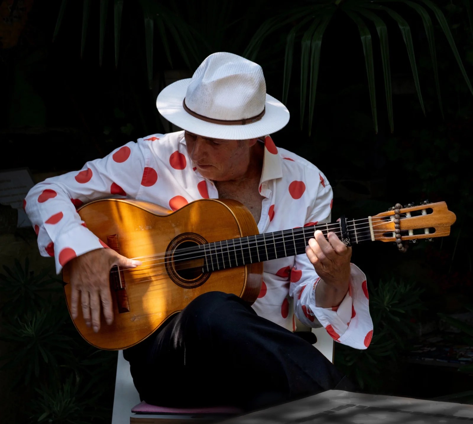Gipsygitarist Manito tijdens een concert