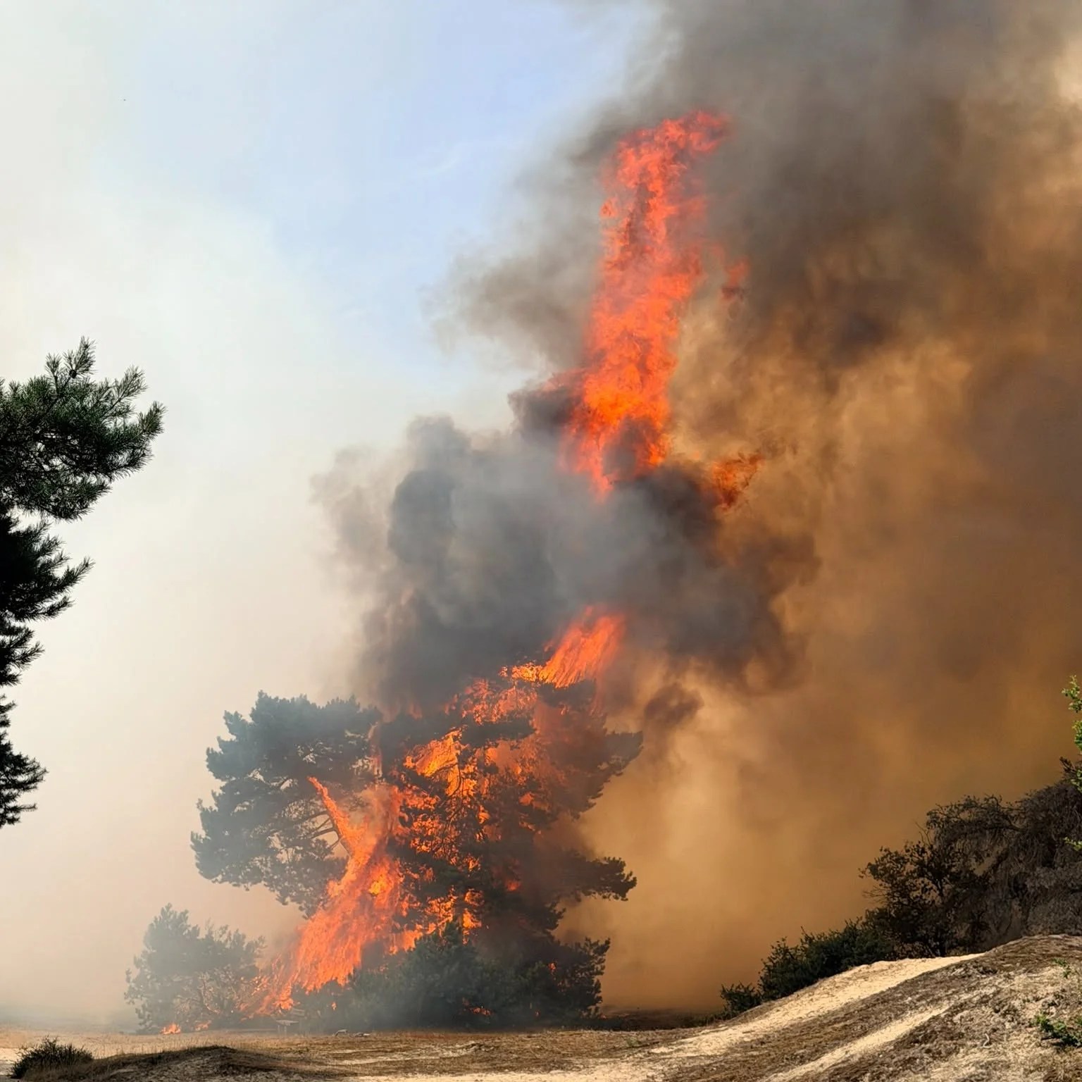Door brand zwaar beschadigde Boshuizerbergen