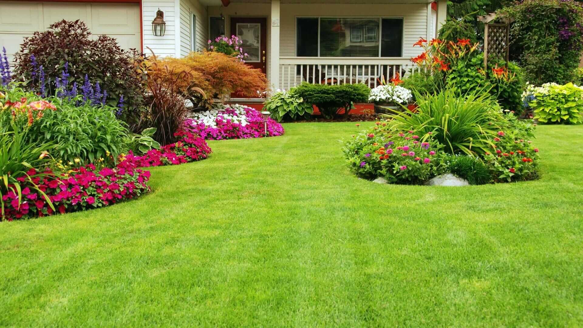 Beeteinfassung Beetumrandung Bei Hornbach Kaufen