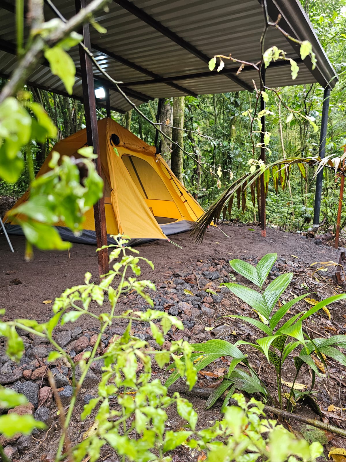 Camping