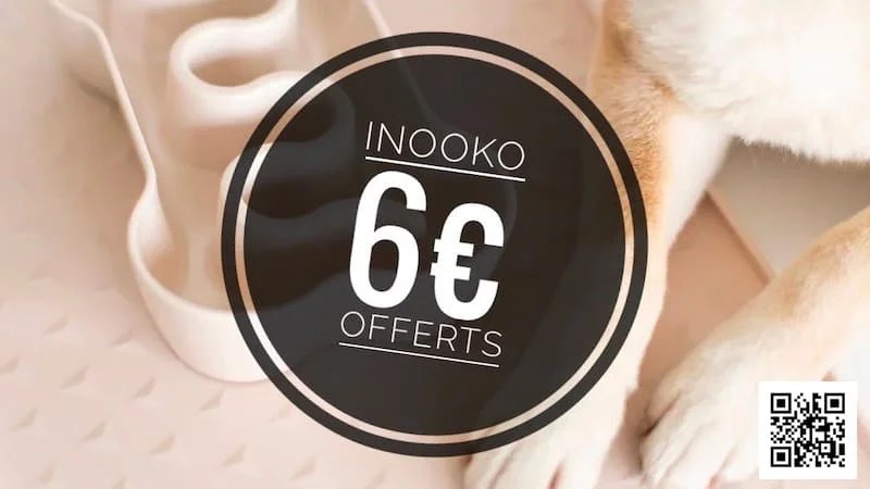 Inooko