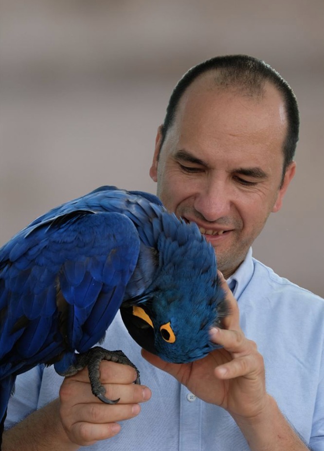 Parrot Academy - collarile