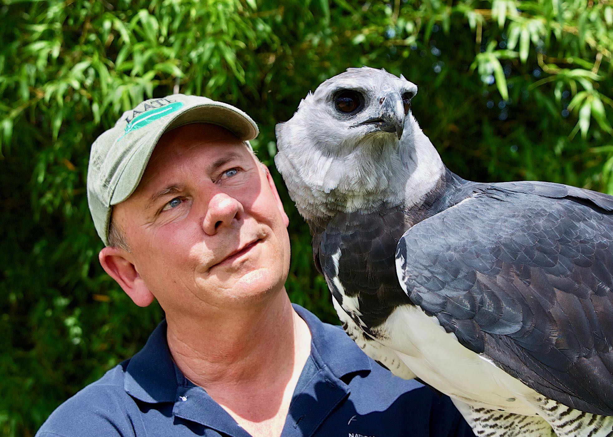 Parrot Academy - Steve Martin