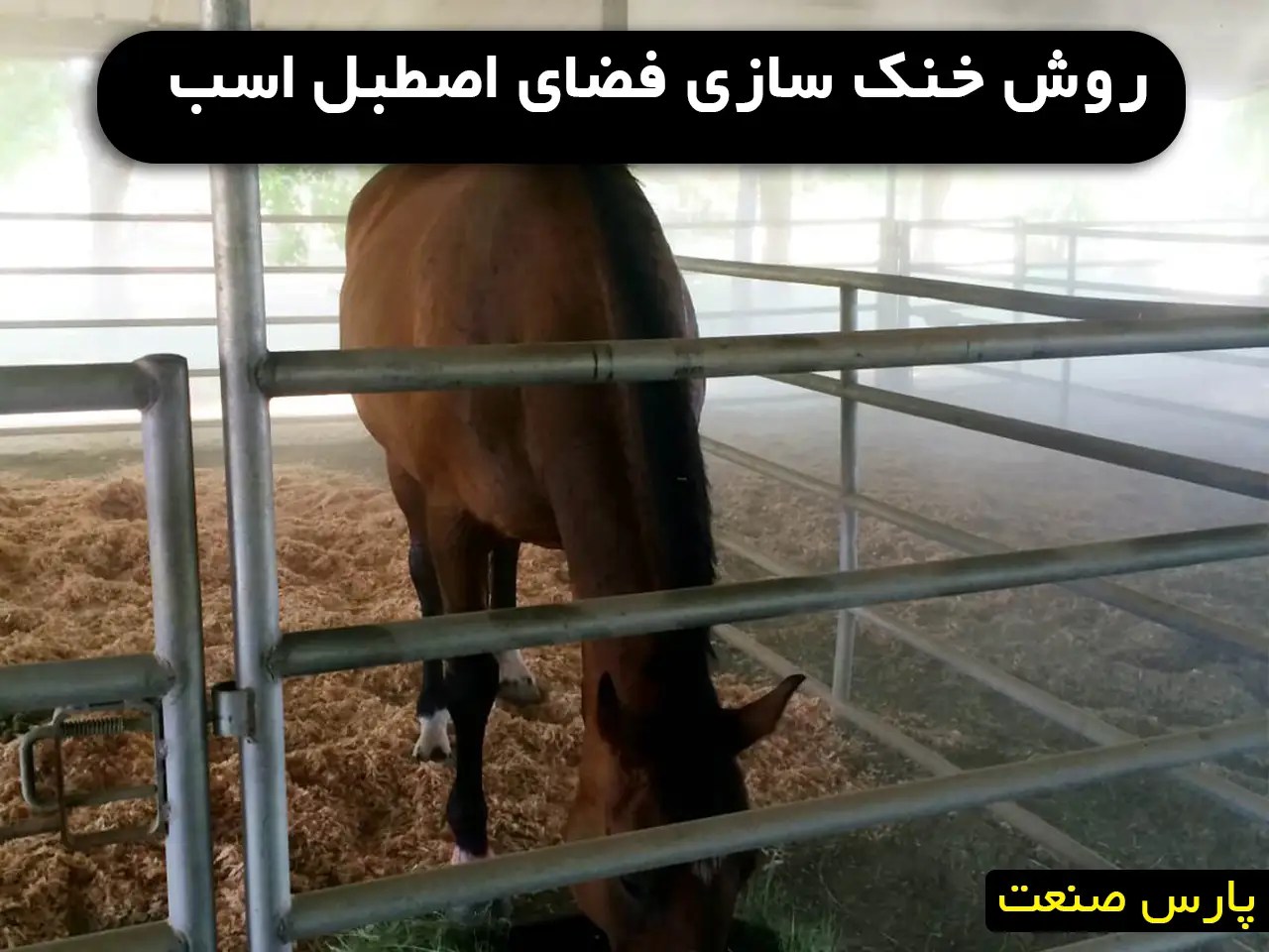خنک سازی فضای اصطبل اسب+راهکار و مقایسه ⚡️ 🌟پارس صنعت🌟