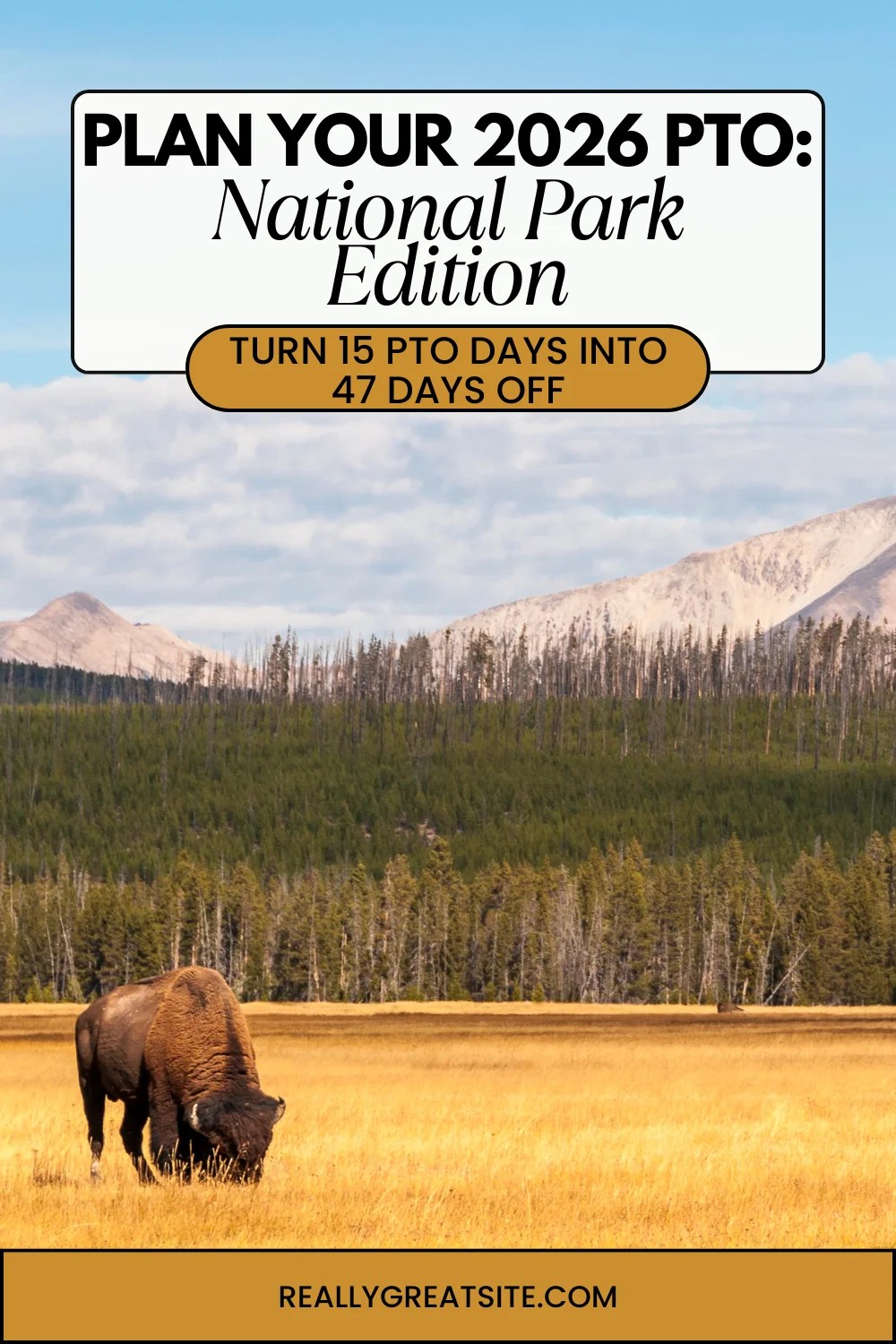 The Ultimate 2026 PTO Hack For National Parks Travelers Blue And White Modern Skincare Beauty Routine Pinterest Pin 3 