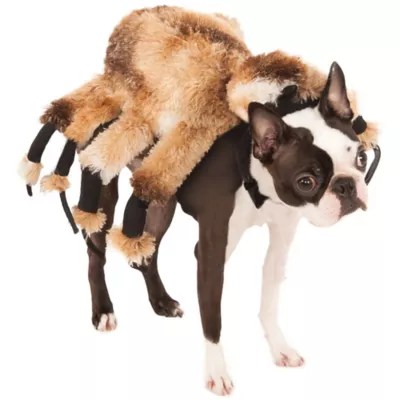 Giant Spider Dog Costume Party City