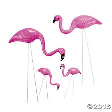 images (1)