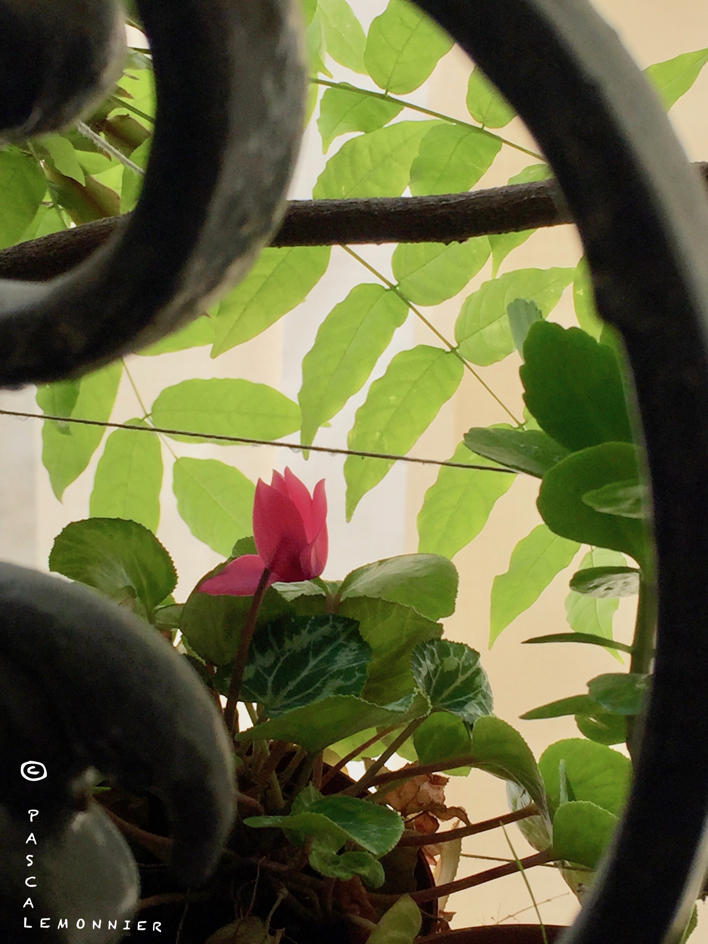 22/08/19  Eprouver, imaginer... puis l'écrire. Et c'est à vous !