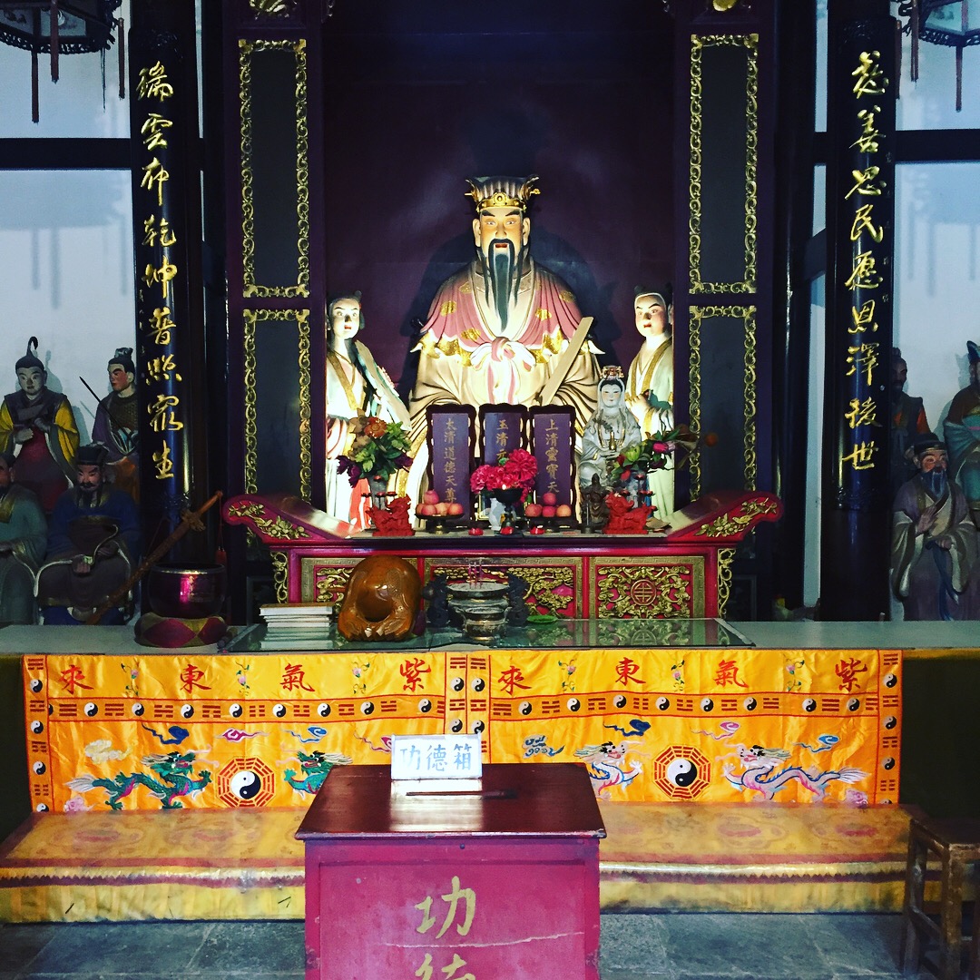IMG_7517