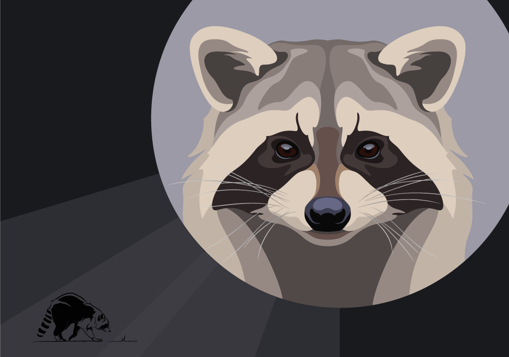 vector illustration graphic of wild animals