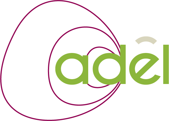 Infographiste Rouen Pascal Ridel Création logo Adel évolution vert la Fapil