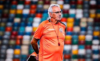 Diario Olé on X: 4️⃣⭐ Uruguay tiene 4 estrellas en su escudo: 2 por los Mundiales 1930 y 1950 y 2 por los JJOO que ganó en 1924 y 1928, que como