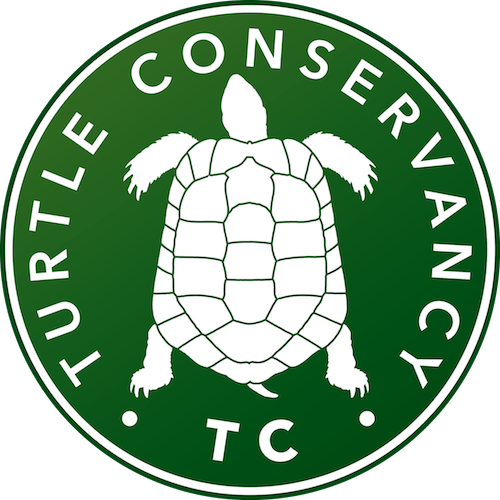 Turtle Conservancy