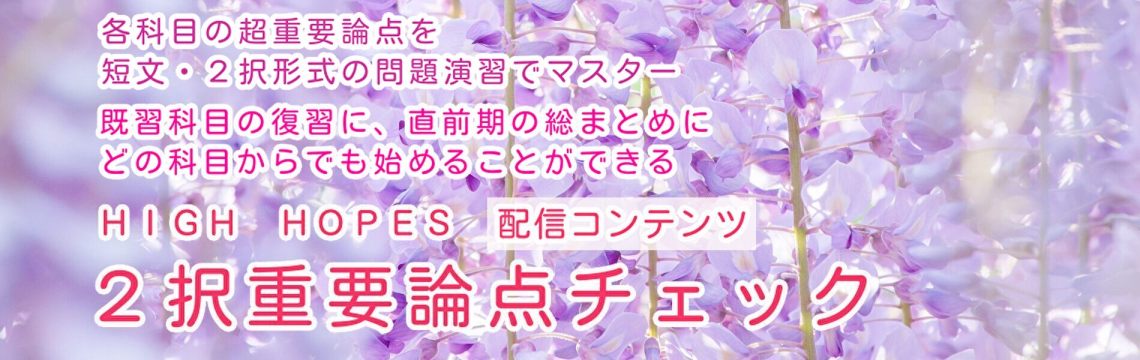 ２択重要論点チェック（スライド）
