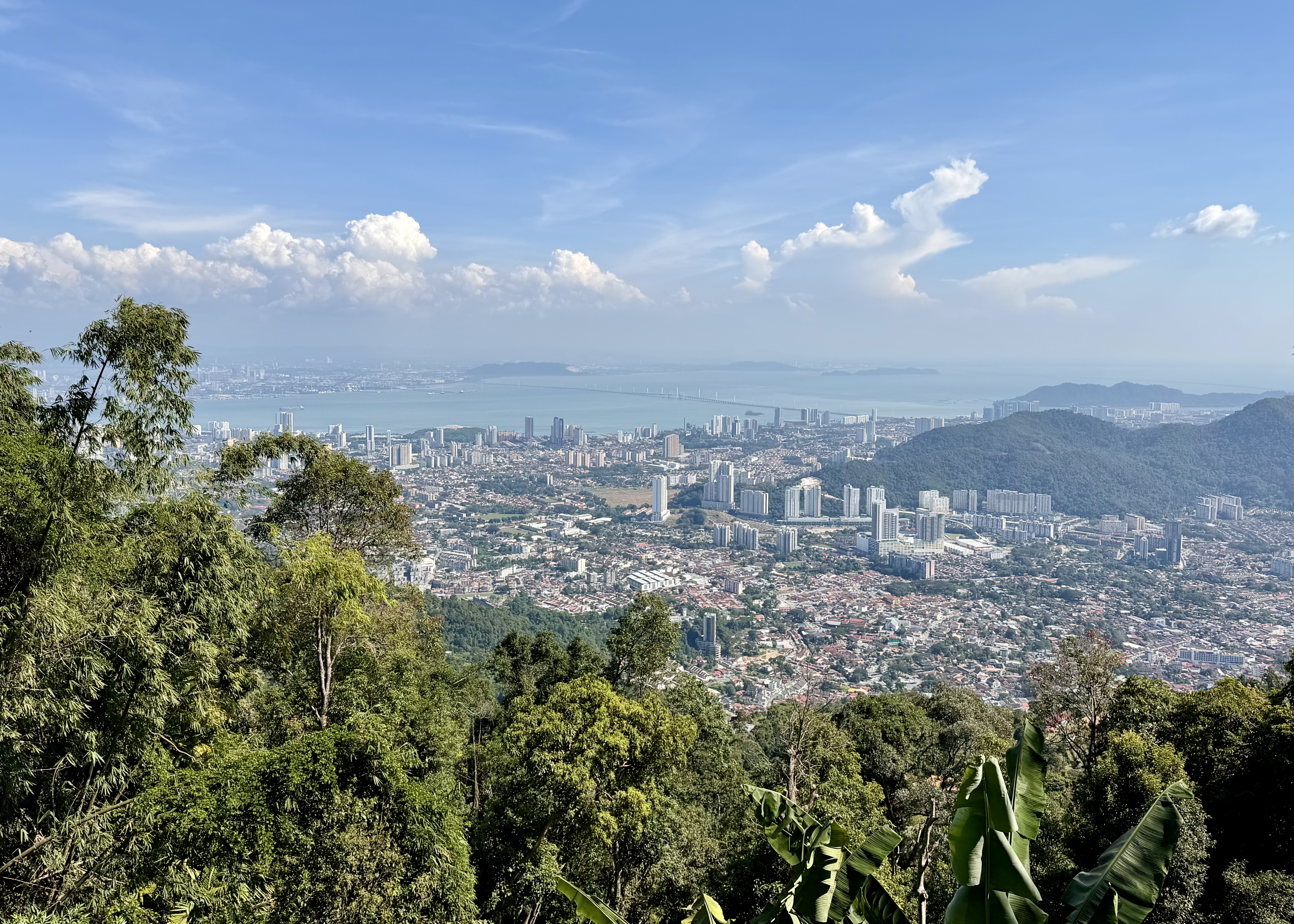 Wide view over George Town and the coastline from Hickory on Penang Hill, with tropical greenery in the foreground