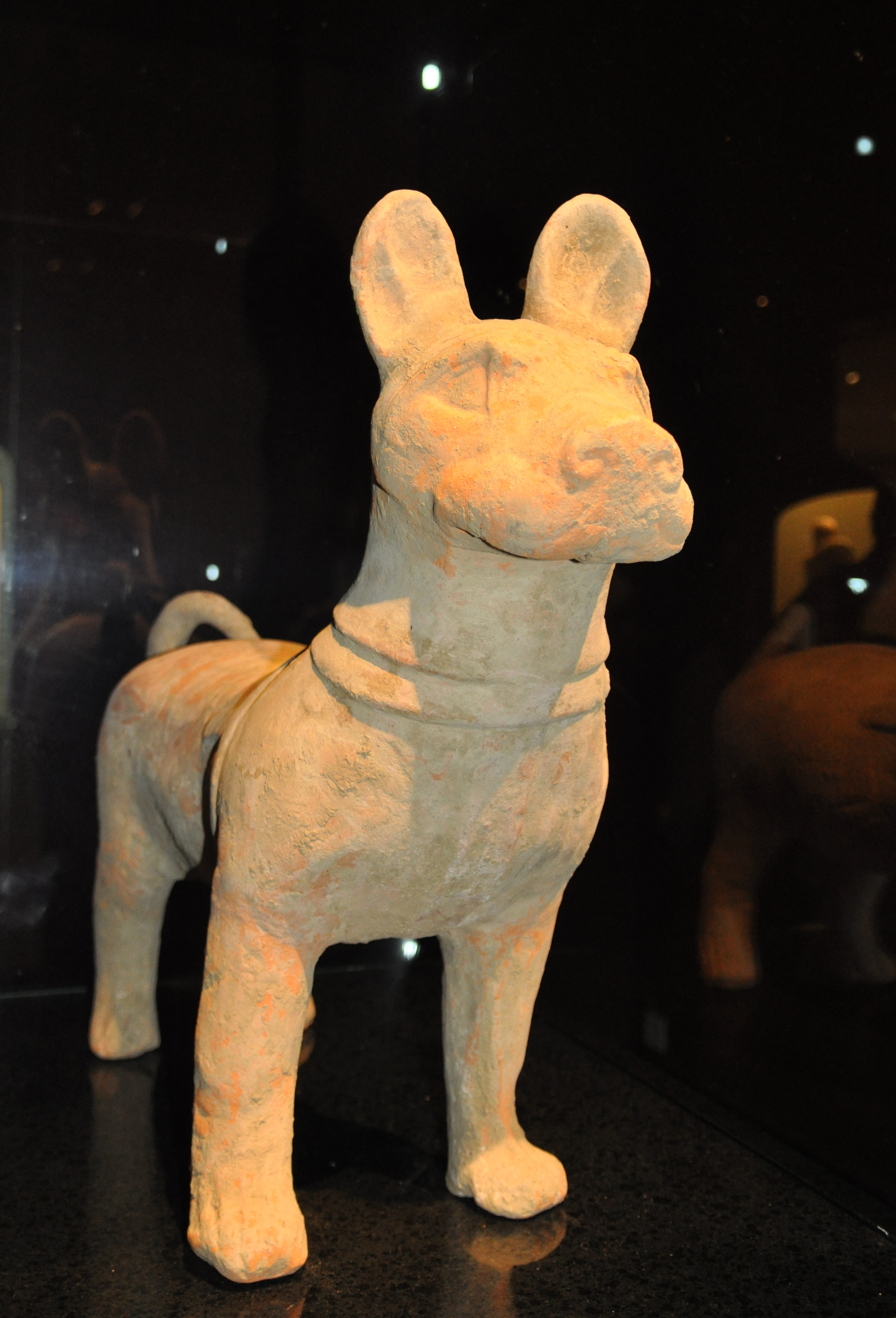 Le chien du Musée de Shanghaï