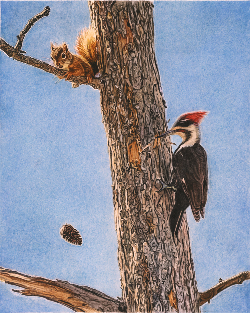Breakfast Interrupted Print