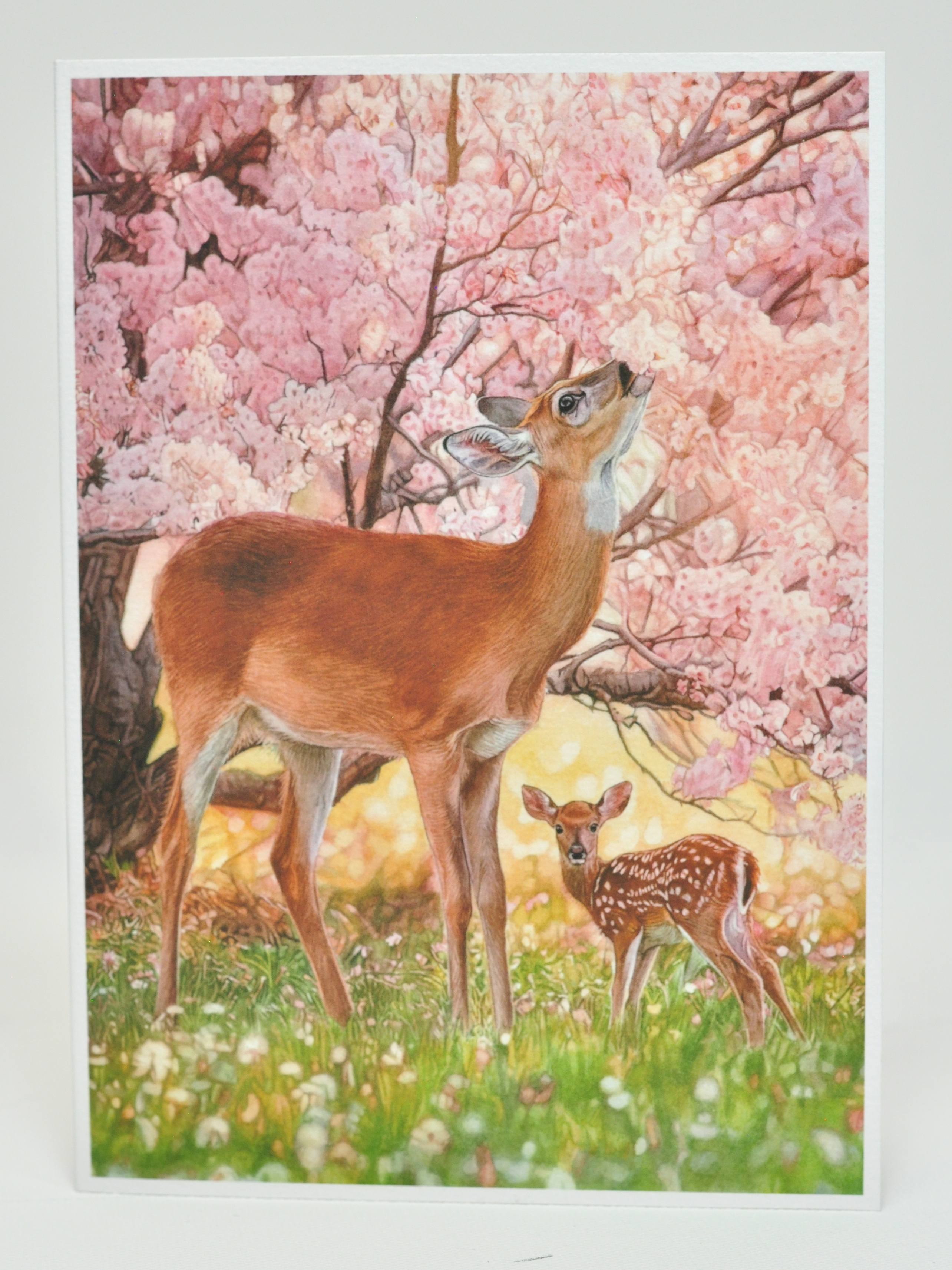 Spring In Bloom Greeting Card