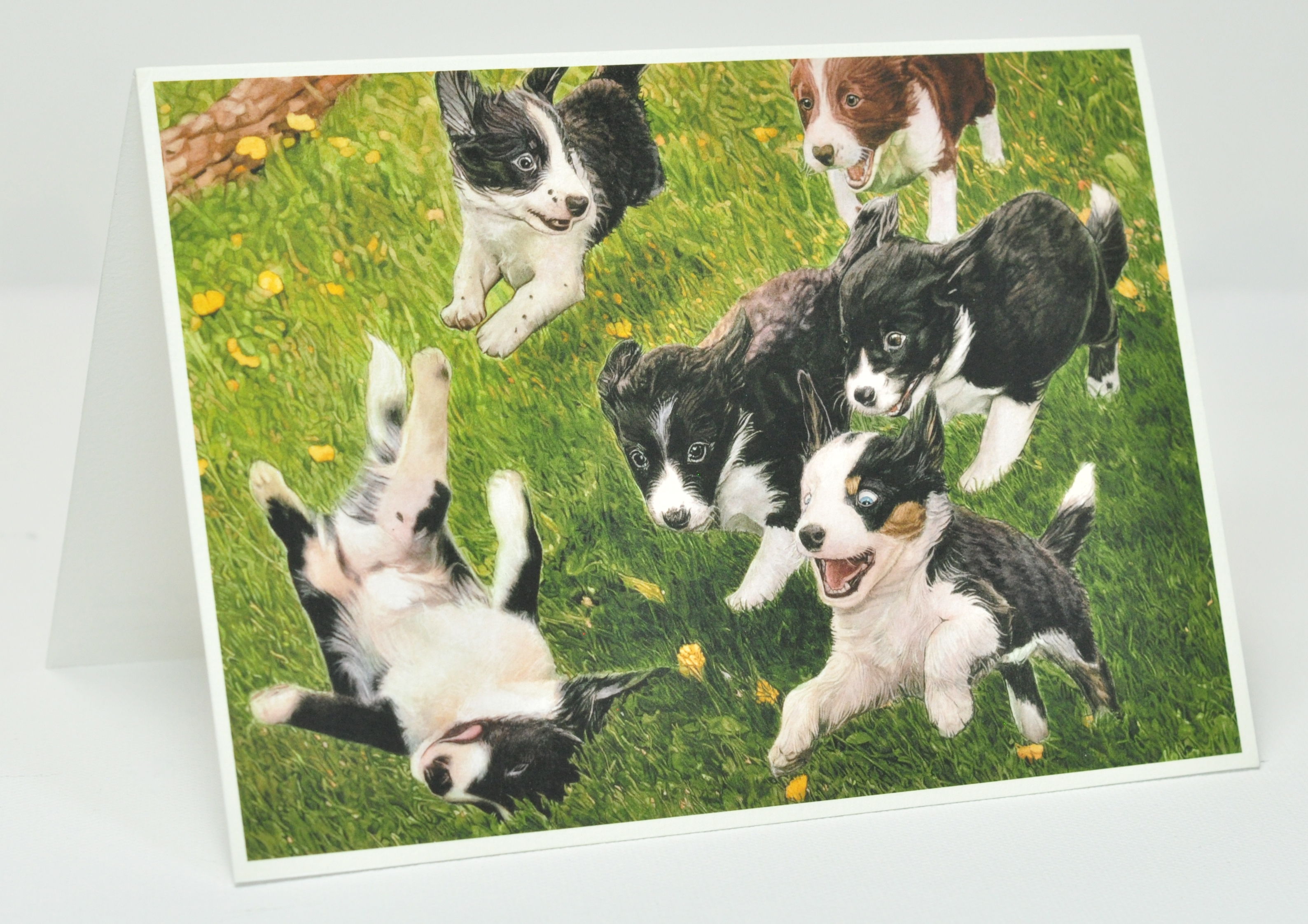 The First Days Greeting Card