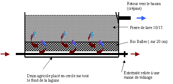 Nous recommandons que vous écriviez seulement 2 'lettres finales'. La Lagunage Filtration Biologique Pour Bassin Passionbassin