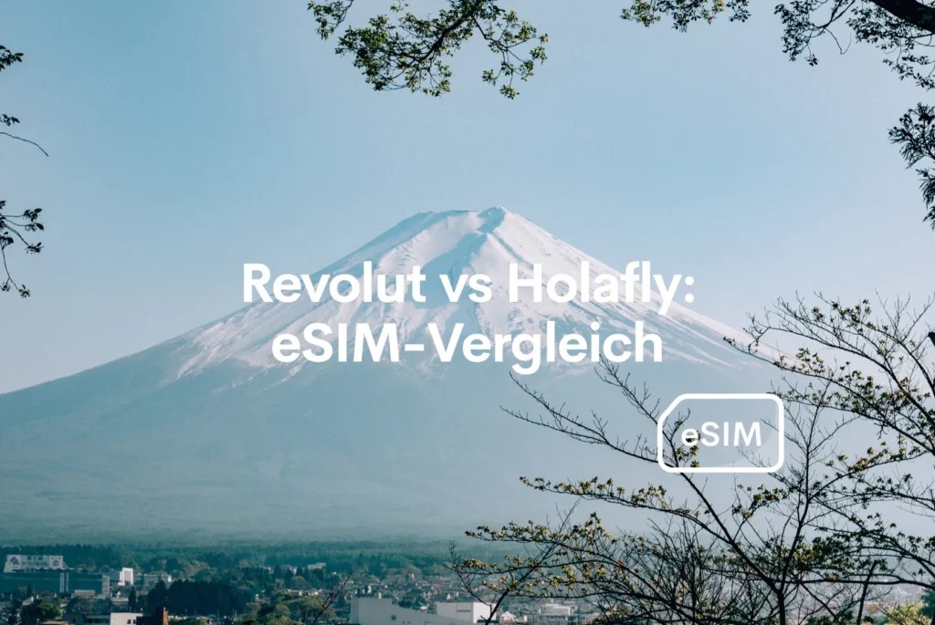 Besser Revolut Holafly Vergliech