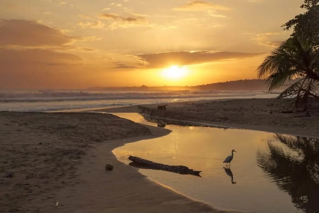 10 Cheap Honeymoon Destinations You Should Seriously Consider 6 Costa Rica Best places to go on a honeymoon