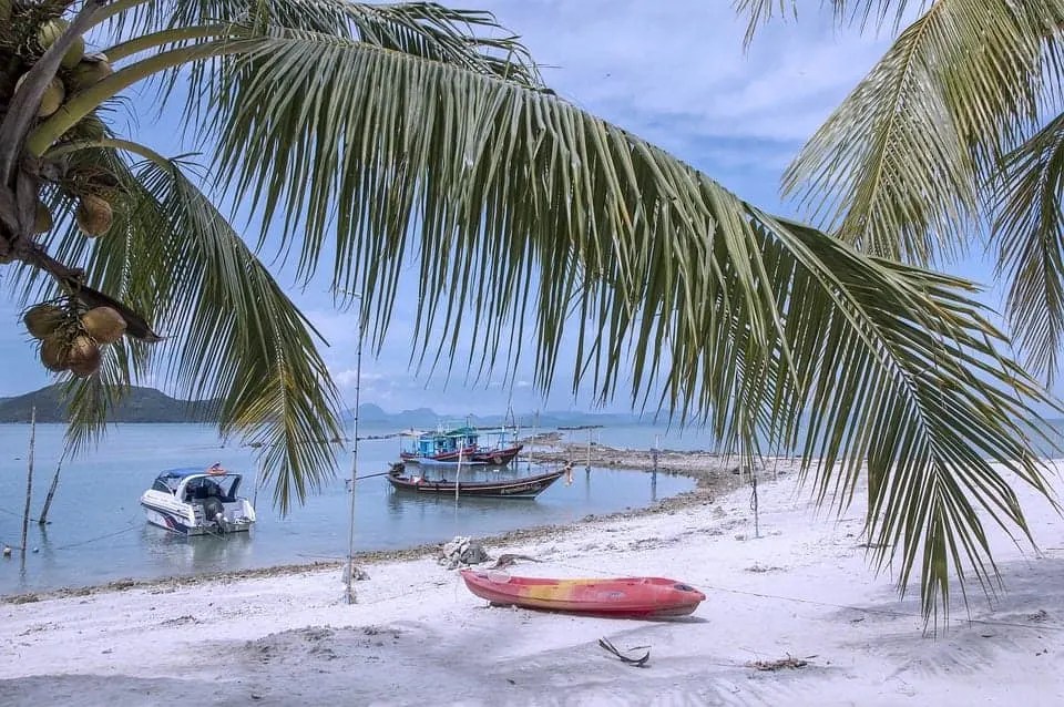 The ultimate guide to island hopping in Thailand- everything you need to know 9 palm tree beach