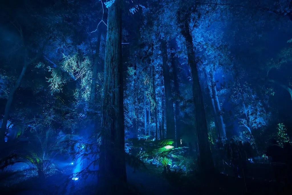 19 Unique things to do in Los Angeles 5 descanso gardens