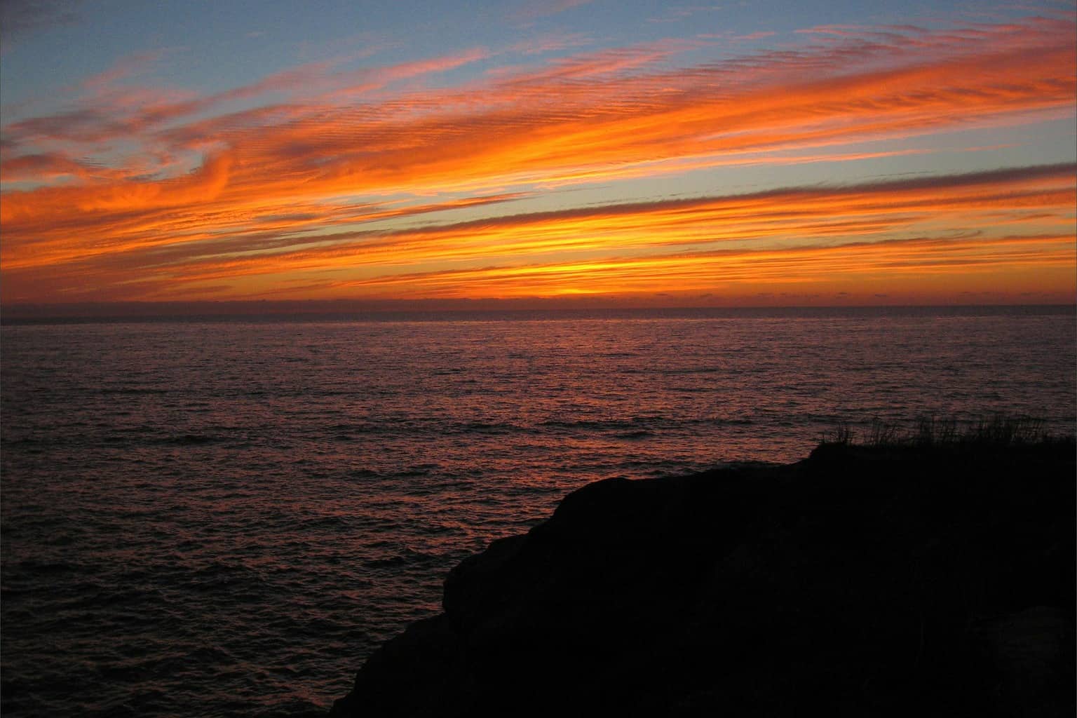 Only in San Diego: 17 Unique Things To Do in San Diego You Will Not Find Anywhere Else only in san diego