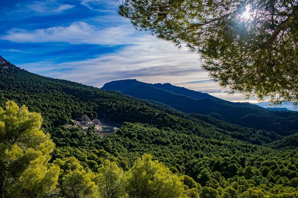 Planning a Southern Spain Road Trip- Planning, routes, helpful resources, and everything you need to know 32 sierra espuna