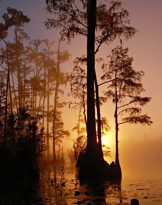 30 Most Remote Places In The US For A Different Experience 8 okefenokee swamp