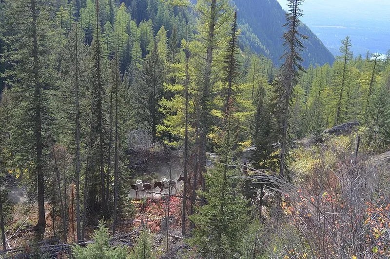 30 Most Remote Places In The US For A Different Experience 18 bob marshall wilderness