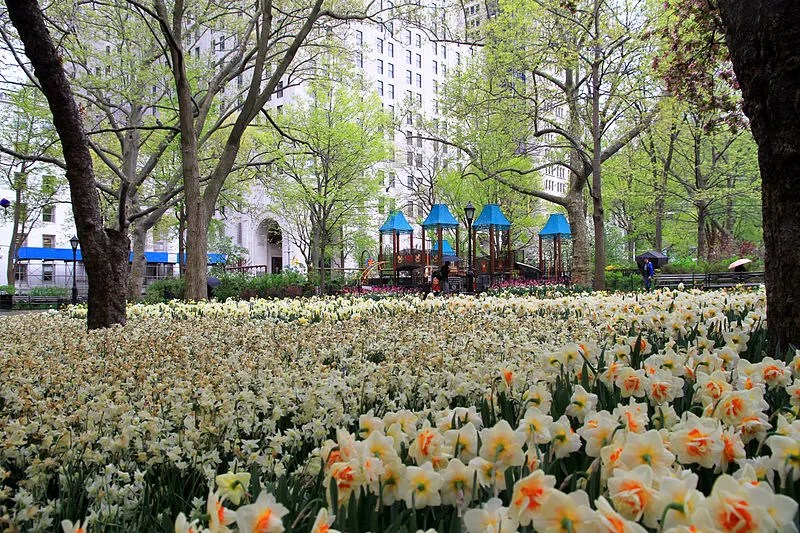 20 Awesome Things To Do Alone In NYC- New York For Solo Travelers 16 madison square park