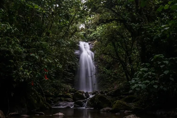 20 Most Beautiful Waterfalls in Panama You Have To Visit 2 the lost waterfalls in panama