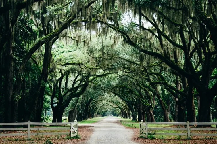 20 Best Halloween Destinations in The World 2 savannah georgia